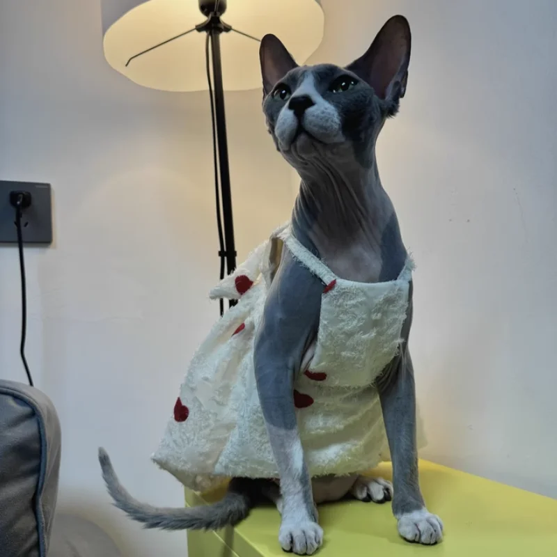 Vestido de princesa blanco rojo de verano para Devon Rex Falda suave de primavera de algodón en el interior agradable para la piel con lindo lazo para gato sin pelo - imagen 3