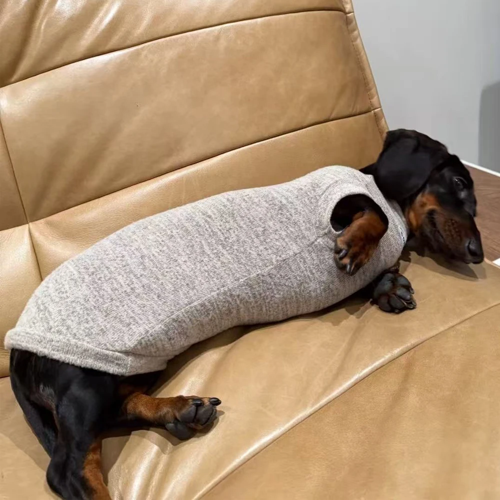 Suéter de lana para perros Wiener, camiseta interior suave para perros salchicha en invierno, abrigo cálido de manga larga para salchicha en miniatura