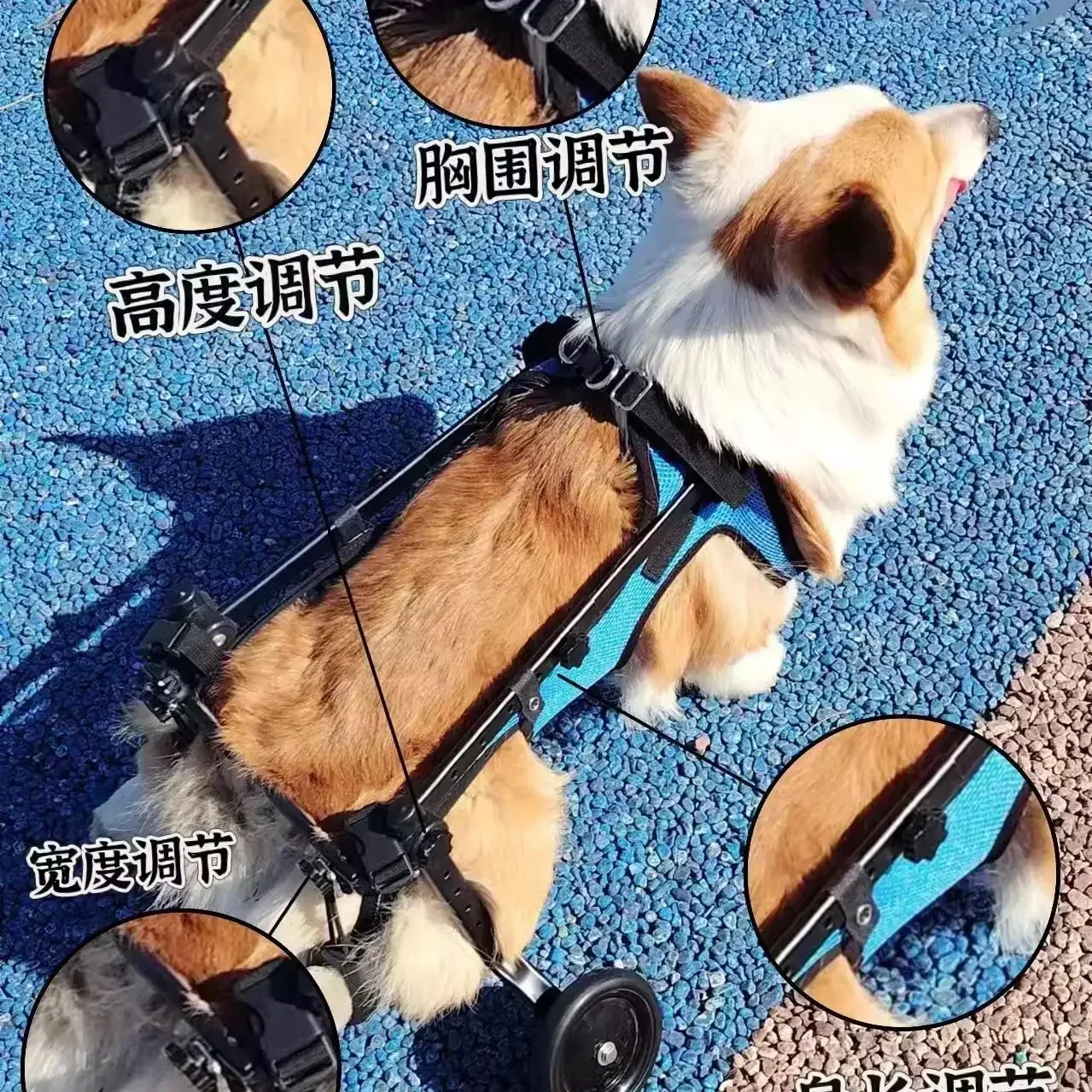 Silla de ruedas para perros, extremidad trasera, patinete para mascotas paralizado, ayuda para piernas traseras para perros discapacitados, soporte para mascotas de peluche para gatos - imagen 3