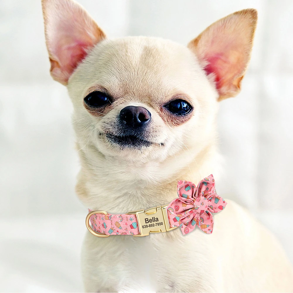 Collar personalizado con hebilla para perro, Collar con estampado de nailon para identificación de mascotas, grabado gratis, accesorio de flores para perros pequeños y grandes - imagen 5