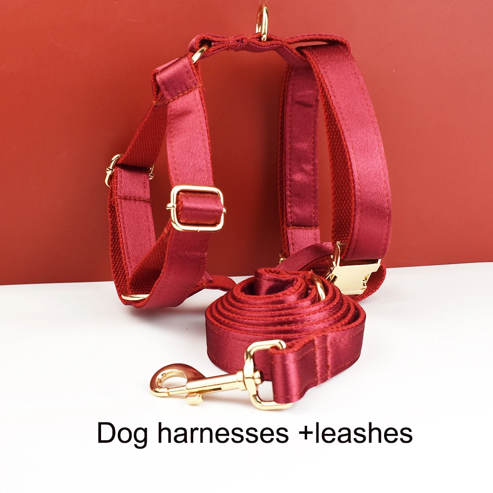Harness   leash