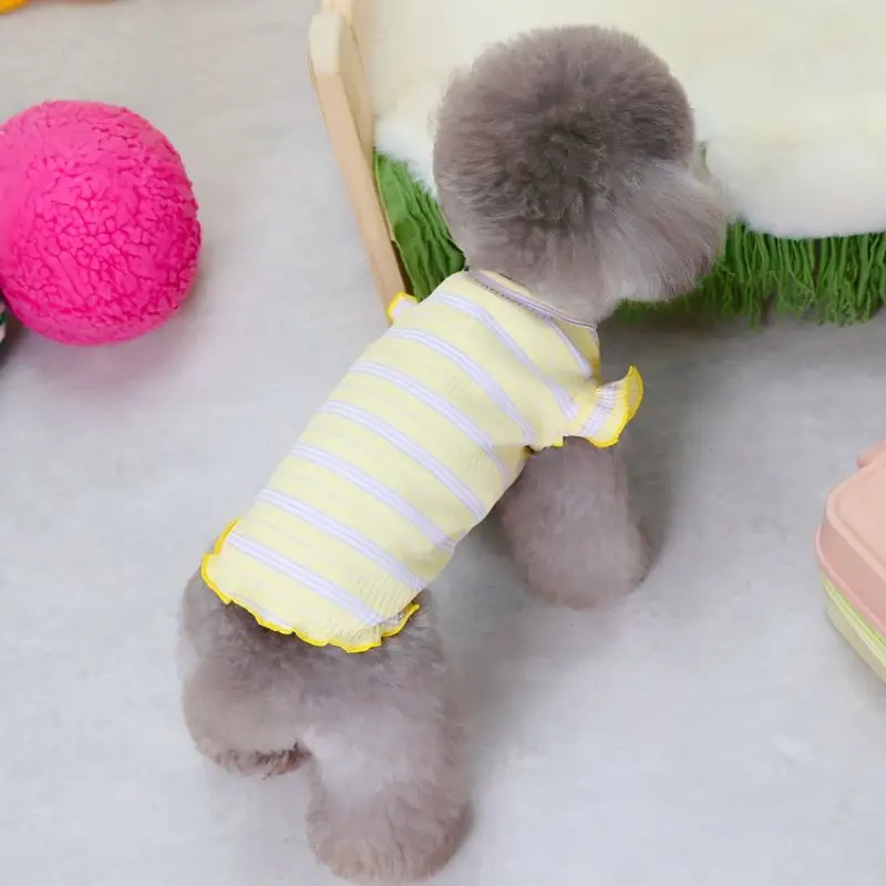 Chaleco rayas con cerezas para perro caniche y gato – Ropa veraniega - imagen 2