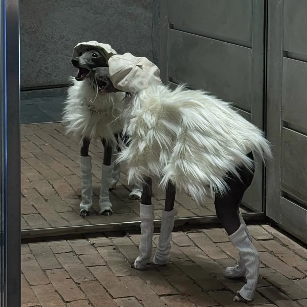 Abrigo de felpa para Galgo Italiano y Whippet – Suéter blanco invierno - imagen 3
