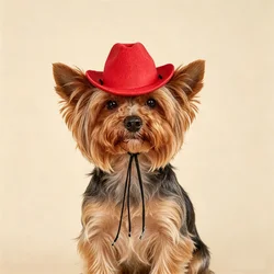 Sombrero vaquero para perros pequeños, medianos, Yorkshire y Chihuahua