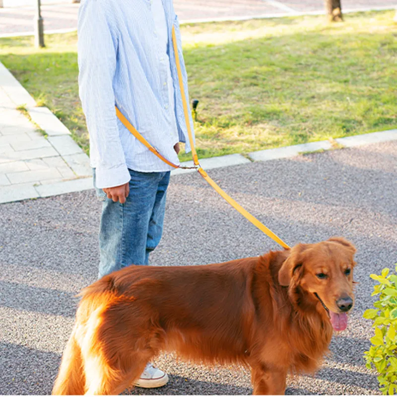 Arnés para perros, correa manos libres para caminar y trotar con correas para perros, arnés multifuncional, productos para mascotas para perros - imagen 3