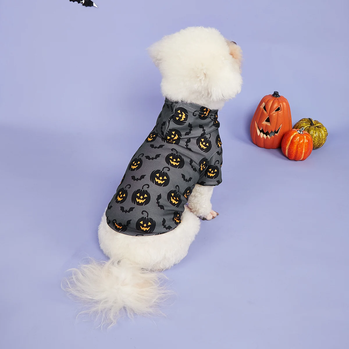 Sudadera con capucha para perros, camisas de Halloween, ropa para perros con patrón de calabaza y murciélago, sudaderas para perros, ropa para mascotas, cuello alto P - imagen 2