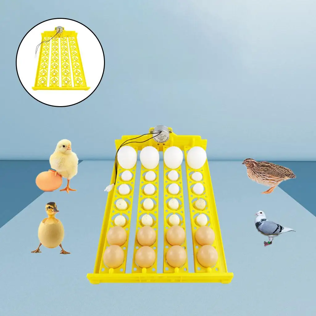 Egg Incubator Tray Automatic Turning Small er Household 220V 32 Eggs Tray for Bird Poultry Chick Duck Eggs Egg Incubator Tray Automatic Turning Small er Household 220V 32 Eggs Tray for Bird Poultry Chick Duck Eggs