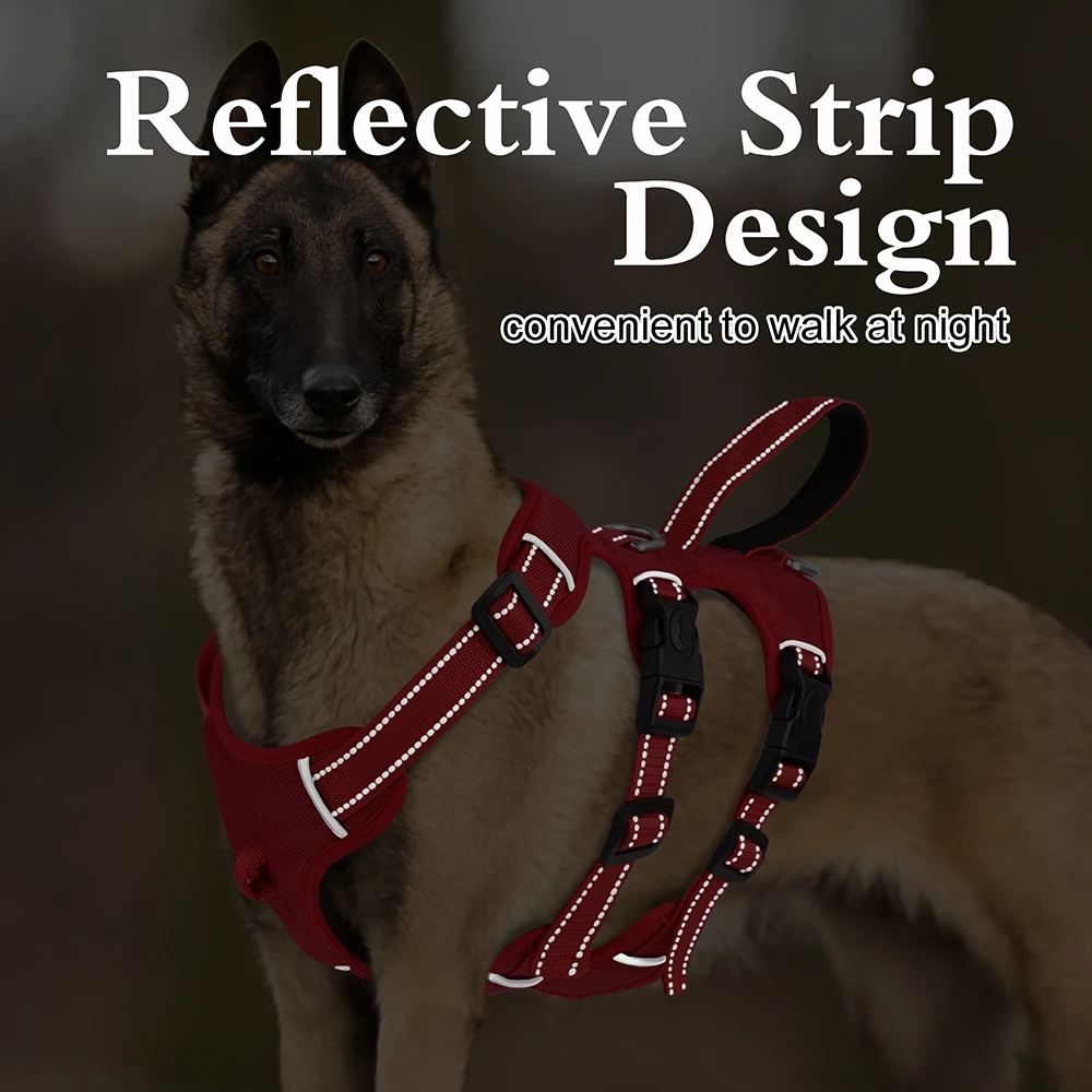 Arnés de nailon impermeable para perros con asa y reflectante - imagen 5