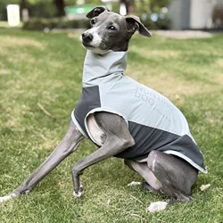 Chaleco verano para galgo italiano – Transpirable y secado rápido