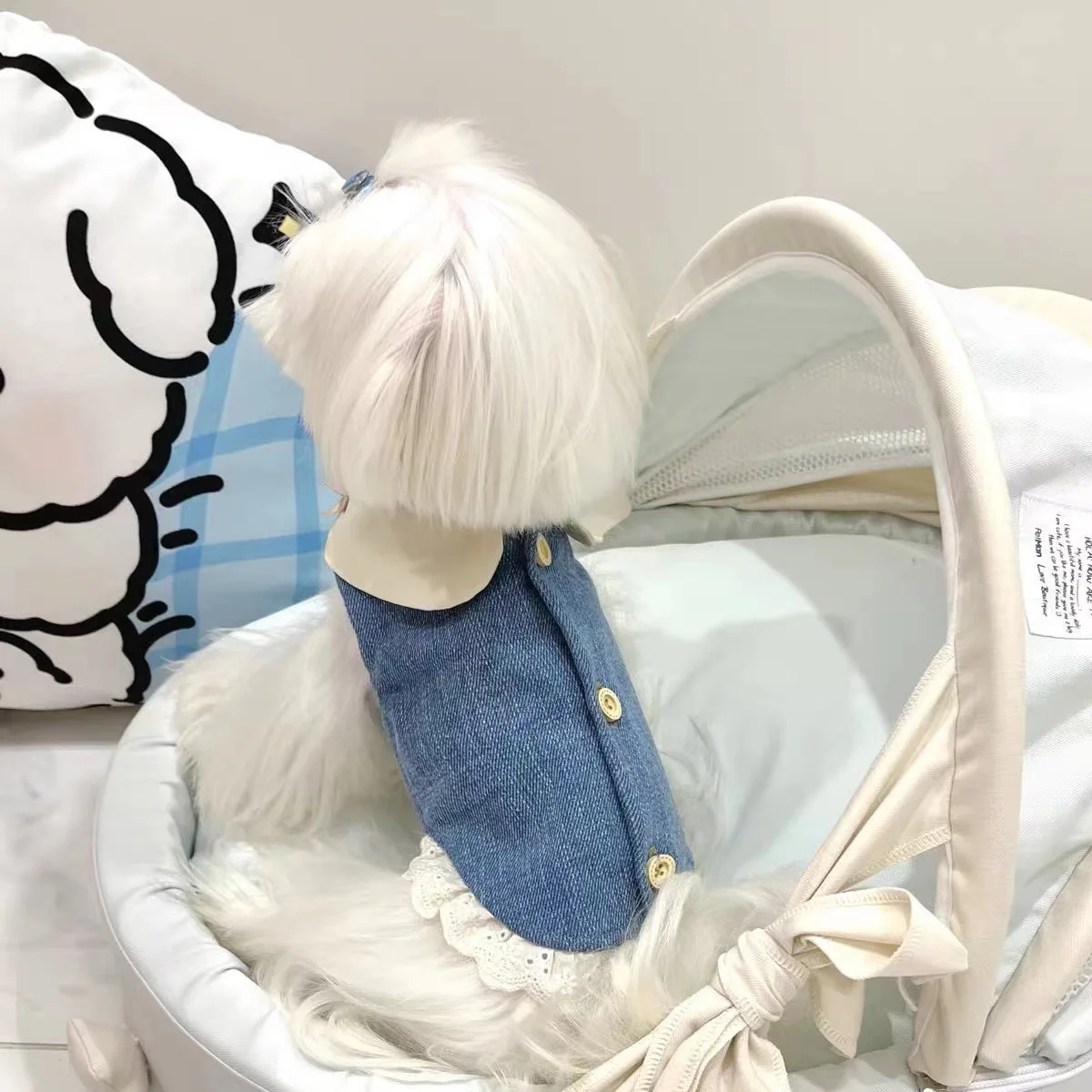 Gato perro primavera Denim Flip Collar bordado falda de encaje perro ropa para mascotas ropa para cachorros maltés chaleco para perros - imagen 4