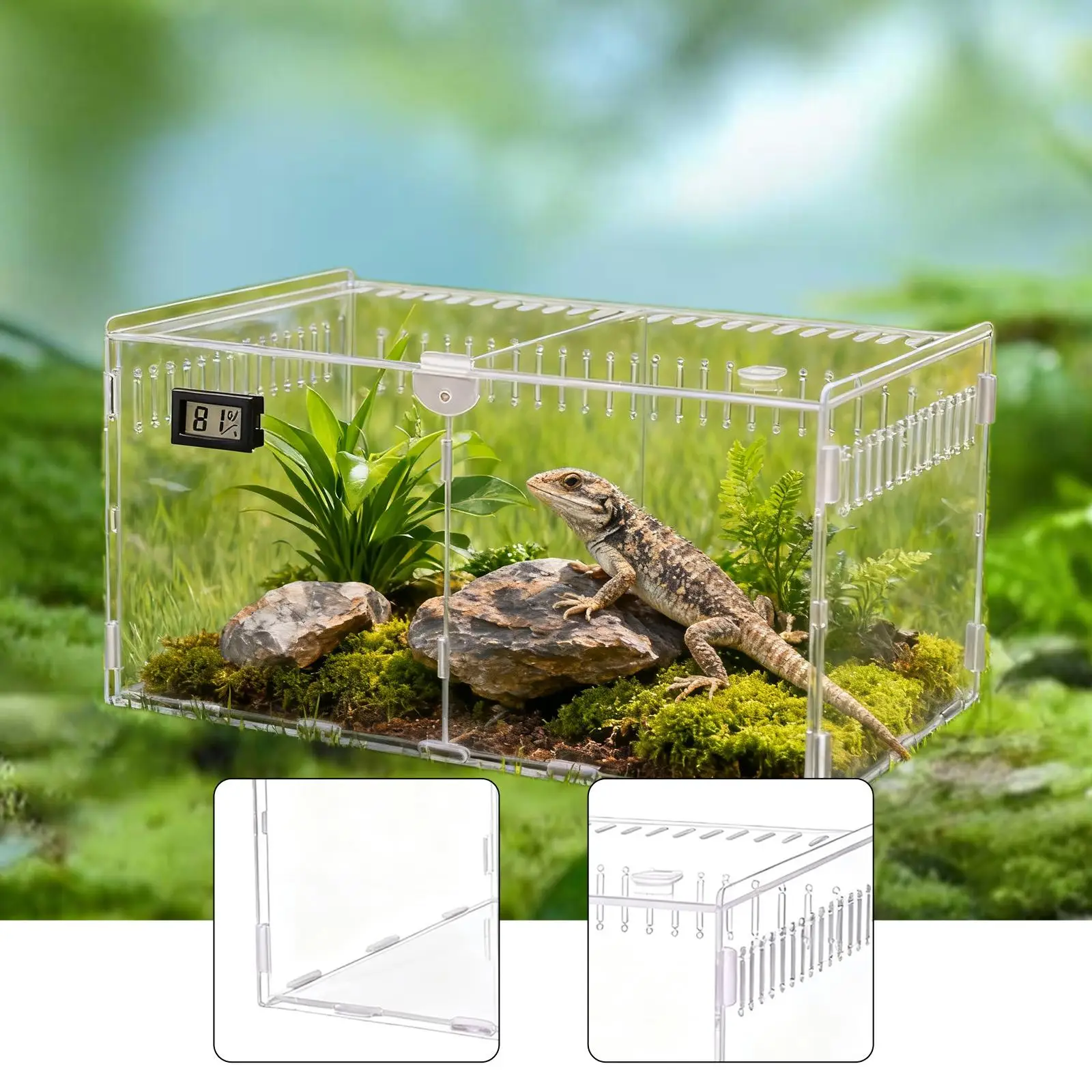 Acrylic Spider Enclosure Container Reptile Tank for Hermit Crab Frogs Gerbil
