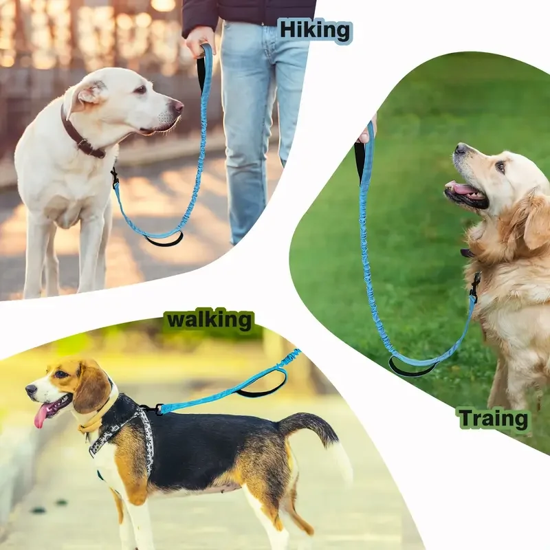 Correa elástica para perros de alta resistencia, plomo de poliéster que absorbe los golpes de 5 pies con asas dobles acolchadas, cintura ajustable y hebilla segura - imagen 2