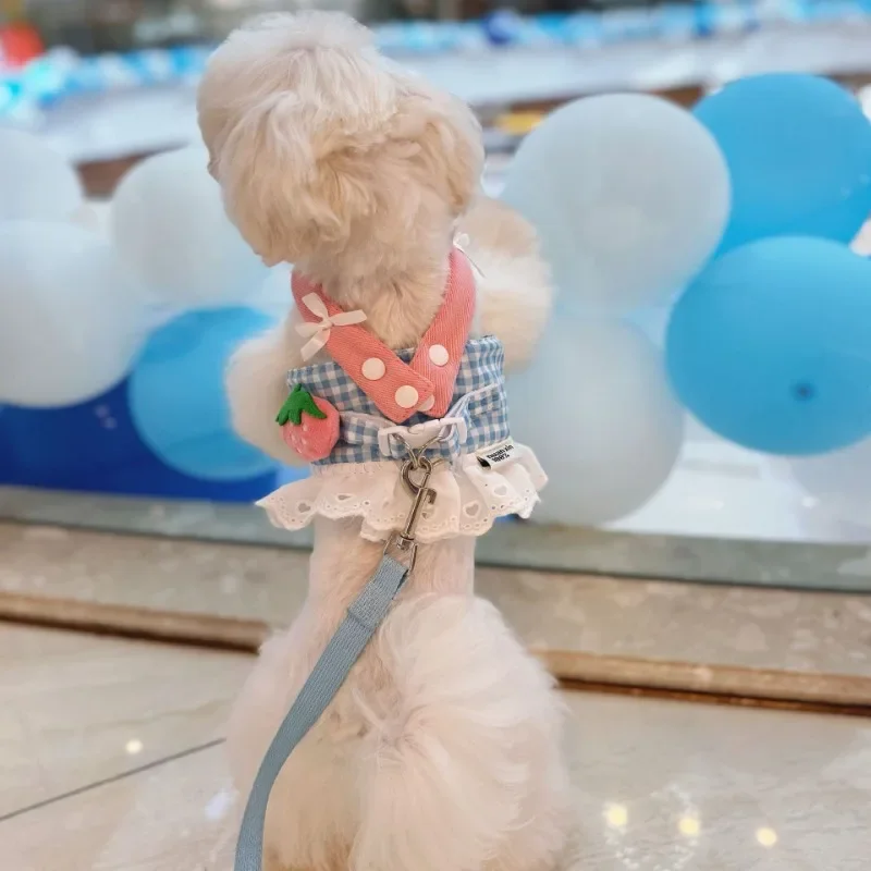 Collares para mascotas, arnés de encaje de fresa para perros, conjunto de correa, chaleco, correa de pecho de encaje, cuerda de plomo para caminar para cachorros, suministros para perros pequeños y medianos