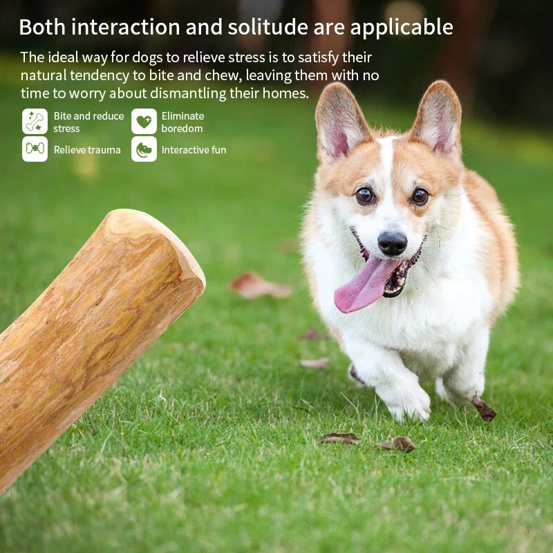 Juguete masticable de madera para perros con café, palo masticable de madera para perros, para aliviar la presión dental, juguetes para mascotas - imagen 5