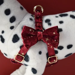 Collar identificativo perro grabado rojo vino – Varios tamaños
