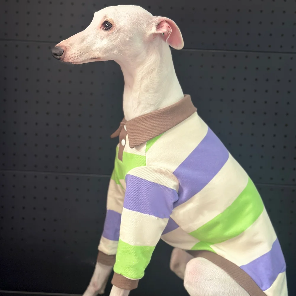 Camiseta de primavera para Italia Greyhound British Gentleman Style Polo de algodón a rayas verde caqui Pijama de agua para perros domésticos en otoño - imagen 4