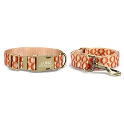 Collar personalizado para gatos y perros con placa identificativa