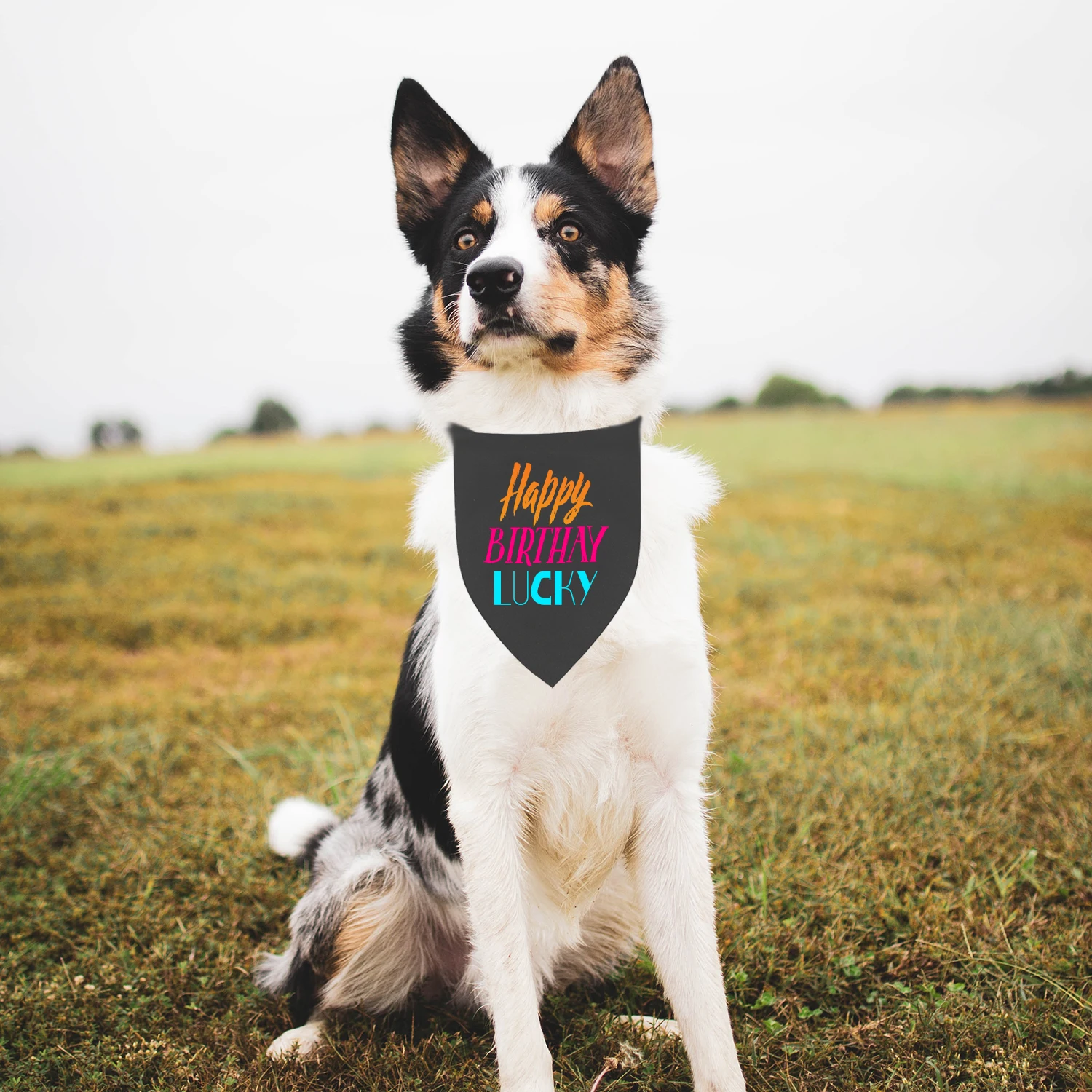 Bandana personalizada para perro y gato – Pañuelo triangular con foto - imagen 5