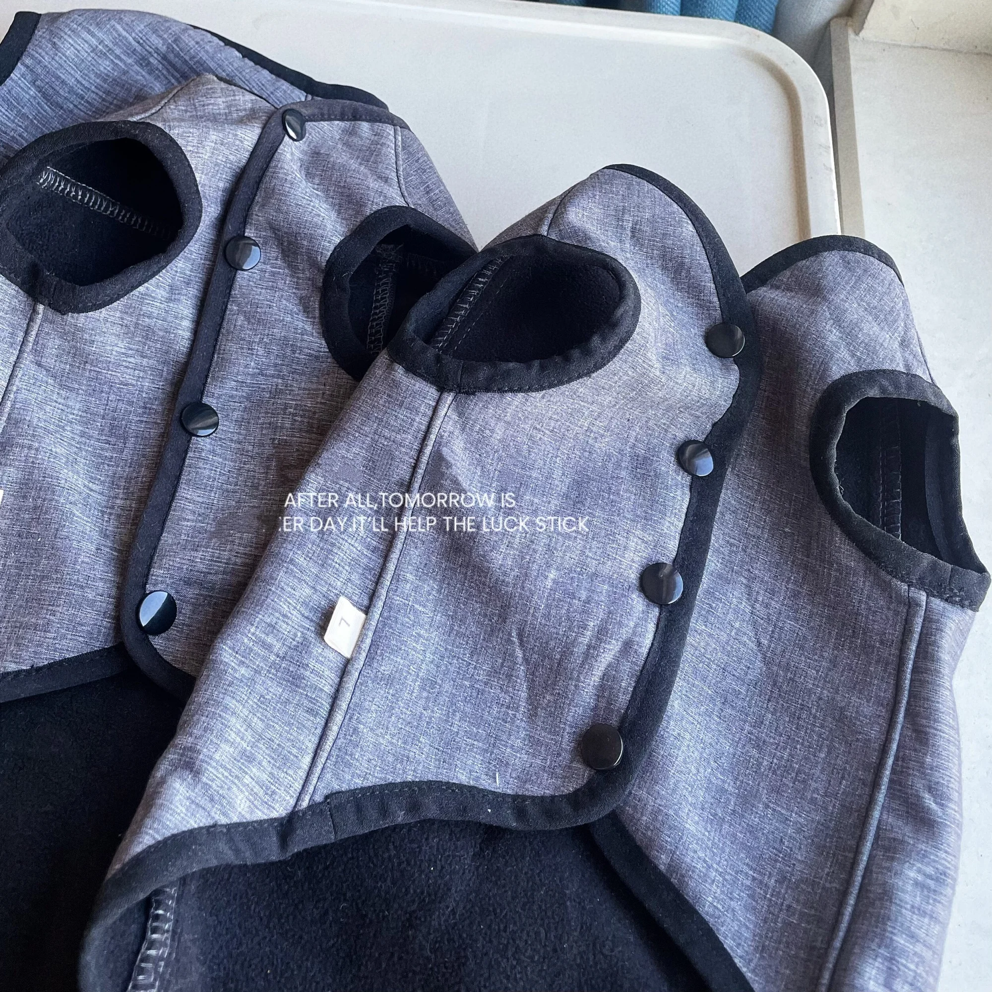 Chaqueta de lana gris a la moda para gato esfinge, abrigo cálido de invierno para gato sin pelo, chaleco grueso de manga corta para gatitos - imagen 3