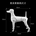 Poodle Skeleton
