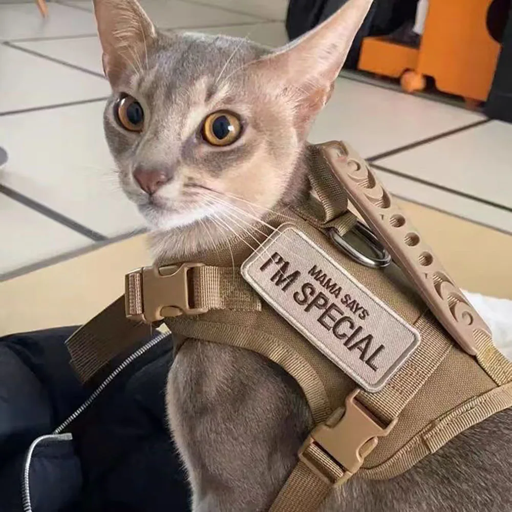 Arnés chaleco para gatos y cachorros – Malla acolchada con hebilla rápida - imagen 5