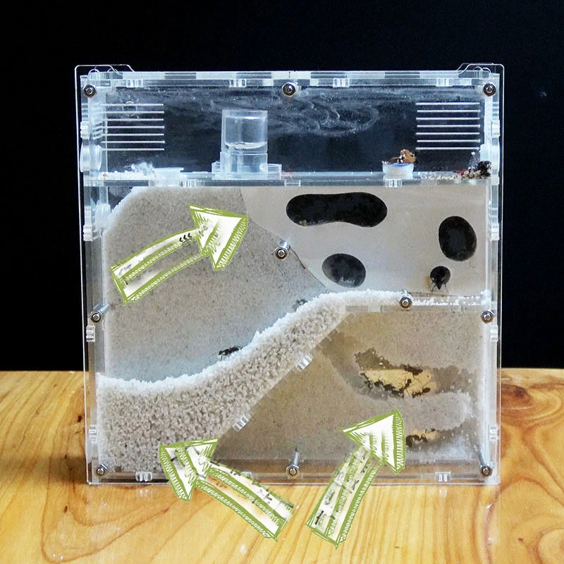 Divertida fábrica de hormigas, casa de hormigas, castillo, insectos, terrario, jaula para hormigas, caja de insectos, guardería, herramienta educativa ecológica para niños S21 - imagen 5