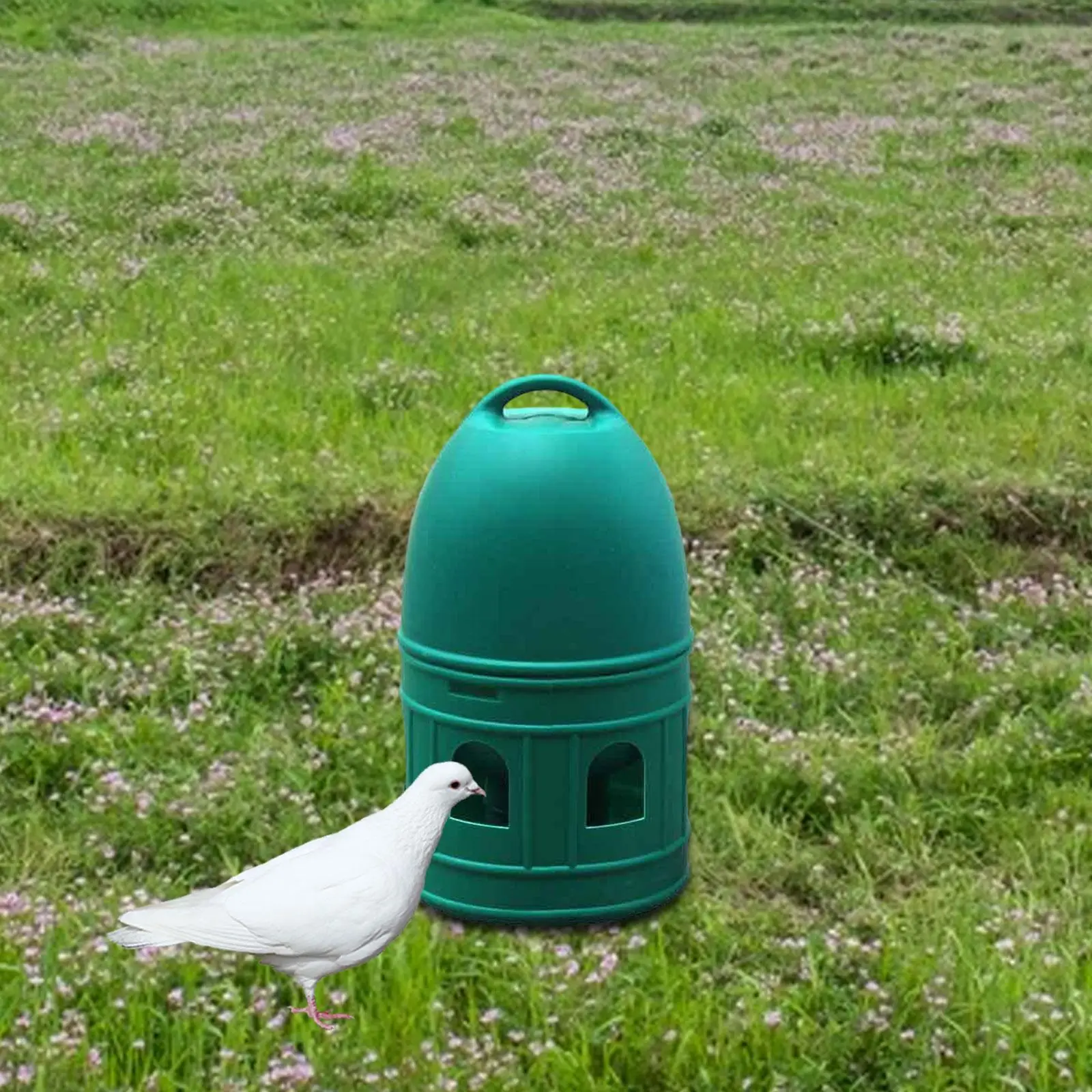 2x Pigeon Drinker Automatic Feeder 10L Watering Cup for Parrot Coop Quail
