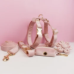 Collar y correa de terciopelo rosa para perro con placa grabada