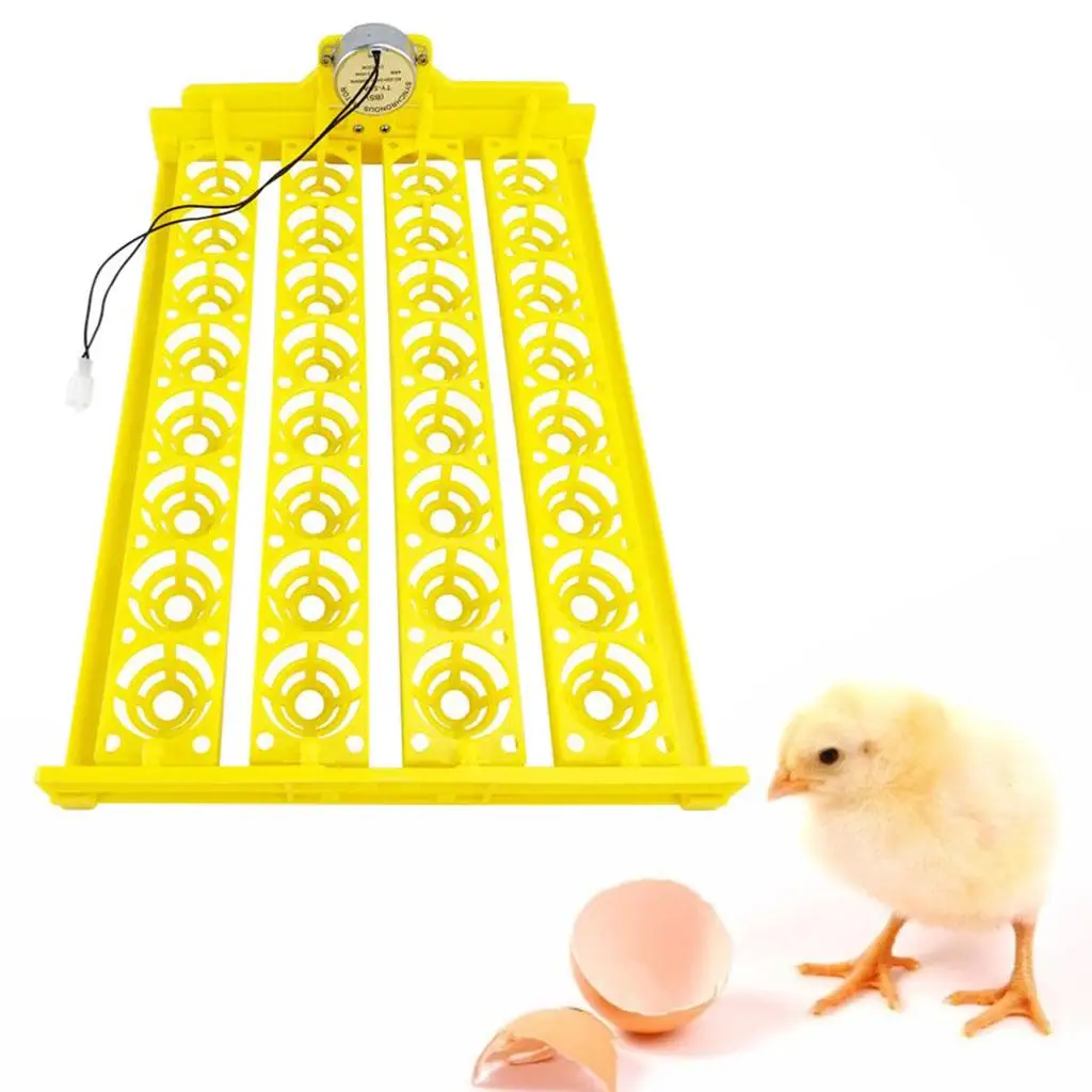 Egg Incubator Tray Automatic Turning Small er Household 220V 32 Eggs Tray for Bird Poultry Chick Duck Eggs Egg Incubator Tray Automatic Turning Small er Household 220V 32 Eggs Tray for Bird Poultry Chick Duck Eggs