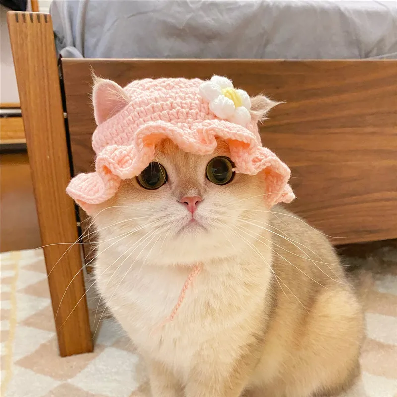 Gorro para gato de otoño e invierno, gorro elástico bonito y refinado para mascotas, gorro tejido para cachorros y gatitos, accesorios para sesión de fotos de fiesta, decoración para gatos - imagen 3