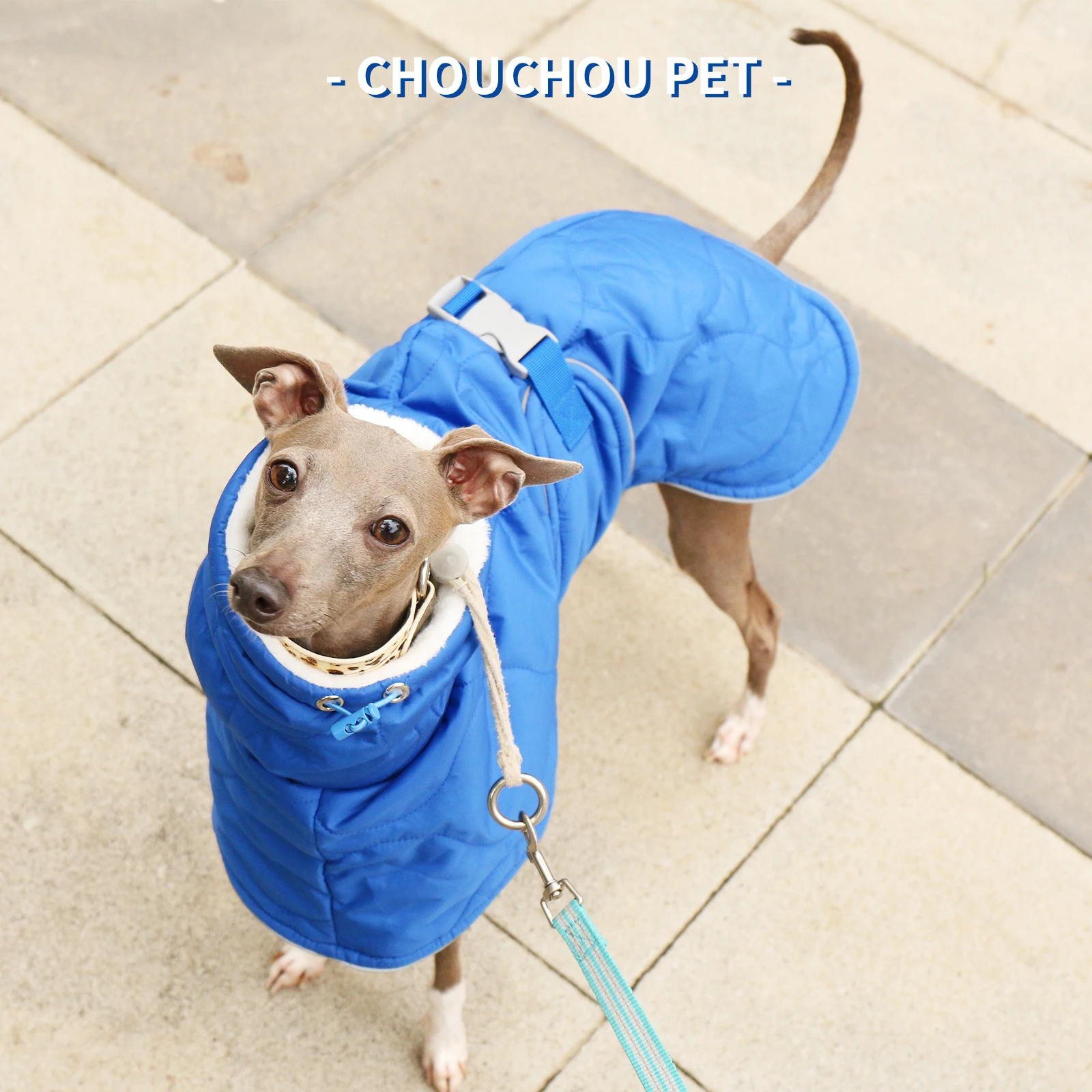 Chaqueta para mascotas gruesa impermeable cálida de algodón de invierno Whippet galgo italiano - imagen 2