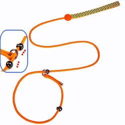 Correa ajustable para perros – mango comodo en paseos
