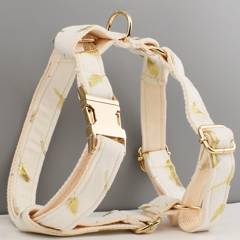 Juego de Collar y correa de terciopelo para perros pequeños, medianos y grandes, placa con nombre grabada personalizada, suministros para mascotas, correa para perros de terciopelo 24 - imagen 2