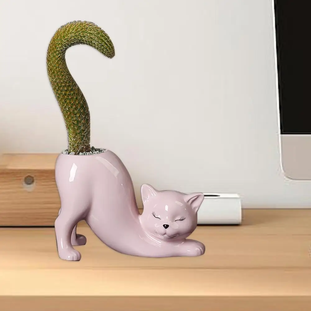 Maceta de cerámica para gatito, maceta suculenta con puerto de drenaje, bonsái de diseño minimalista único para el hogar - imagen 4