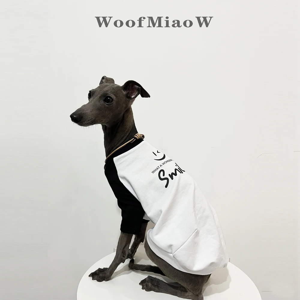 Ropa de galgo italiano, camiseta con hombros descubiertos y estampado de colores a la moda, ropa suave y cómoda para perros, ropa para perros de dos patas para primavera y verano - imagen 4