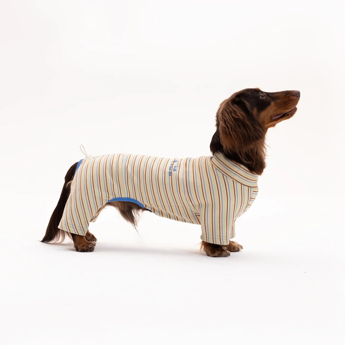 Camiseta de primavera ligera cómoda para perro salchicha - imagen 5