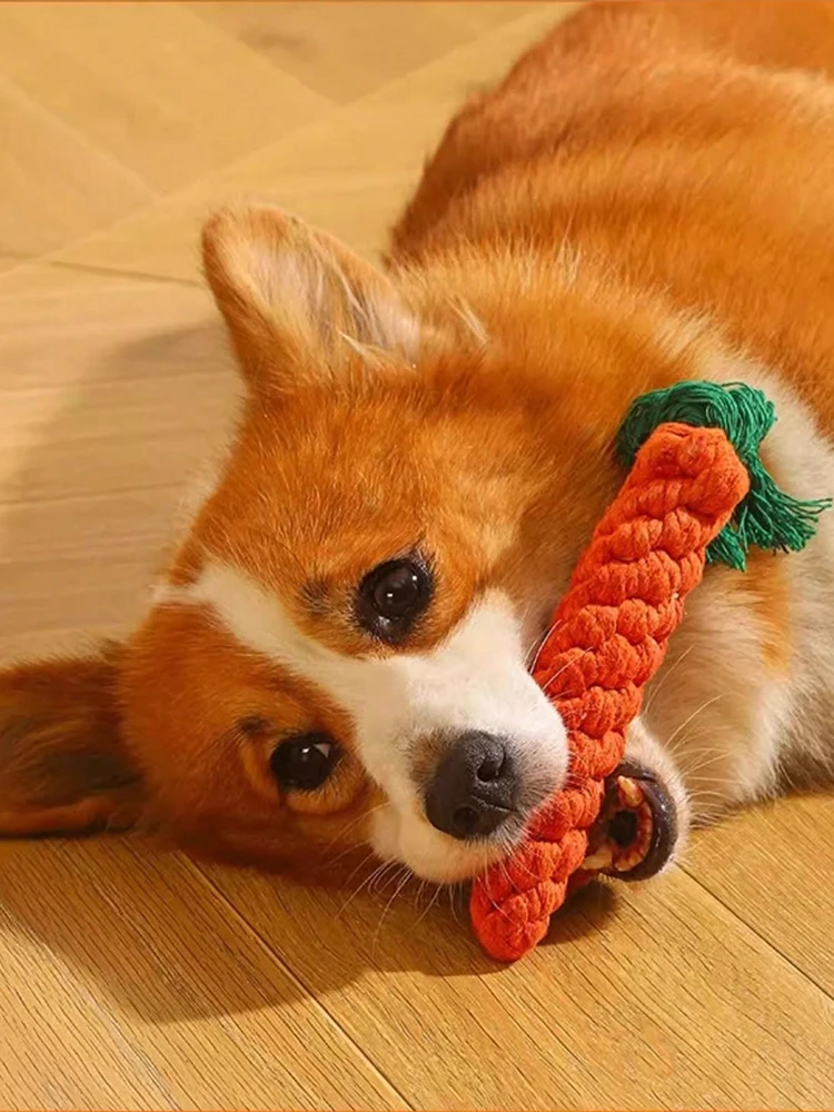 Juguete cuerda resistente con nudos para perros pequeños y medianos - imagen 5