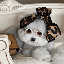 Gafas de sol con perlas para perro – foto estilo osito Chihuahua