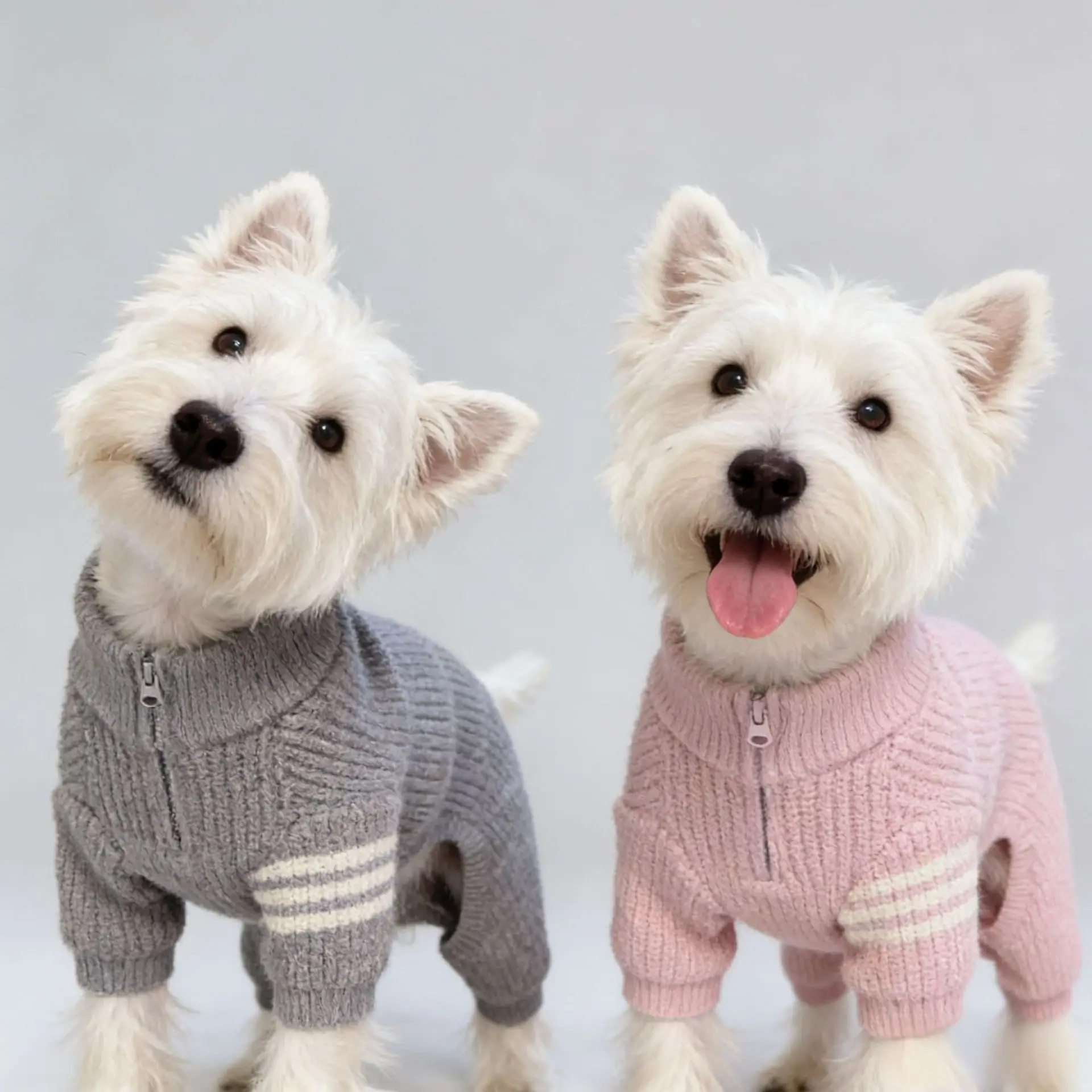 Suéter tipo polo de invierno para perros mini, medianos o Bichón Frisé - imagen 2