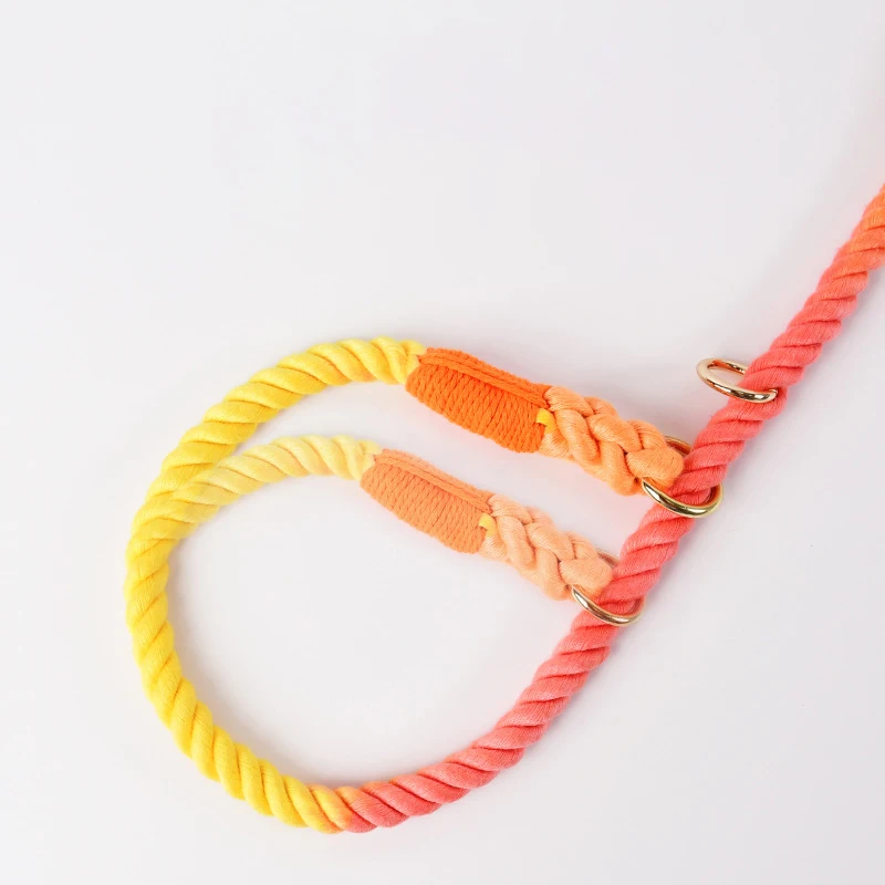 Collar de cadena de nailon para perros, correa ajustable de PU, macarrones de lujo, cuerda de tracción para perros medianos y grandes, suministros para mascotas - imagen 4