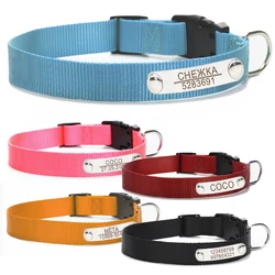 Collar identificación perro grande acero inoxidable grabado
