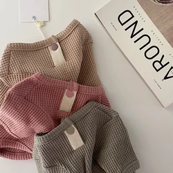 Ropa para perros y gatos: sudaderas, camisetas y disfraces