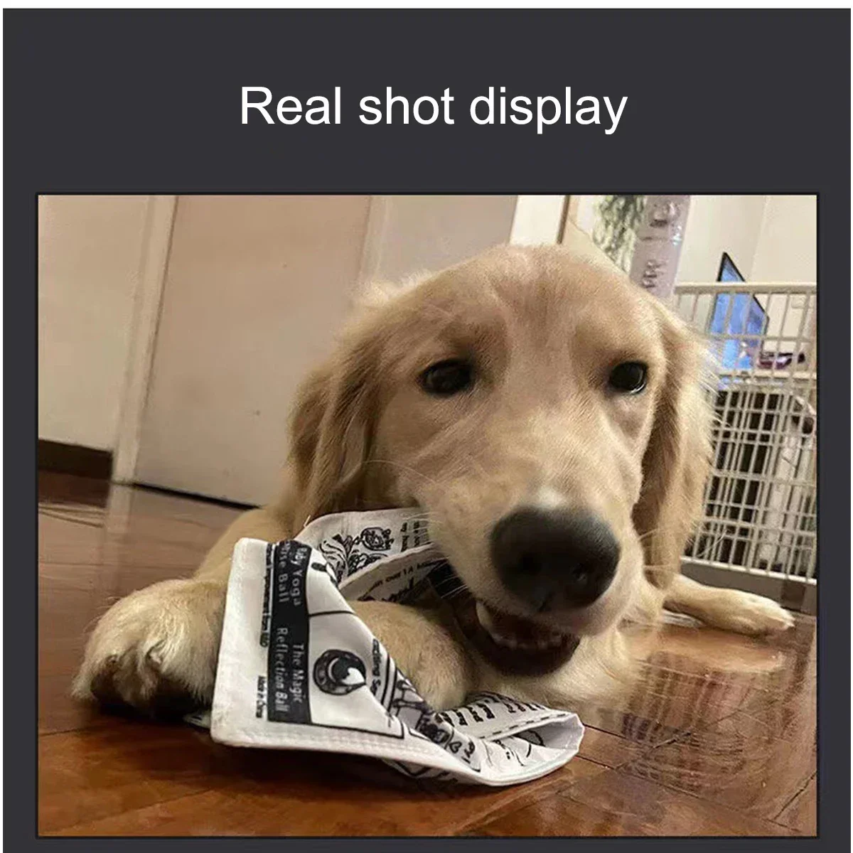 Juguete con sonido de perro a prueba de lágrimas, naipes de periódico chirriante simulado, resistente a los dientes, Corgi, cachorro de peluche interactivo, 1 ud. - imagen 3