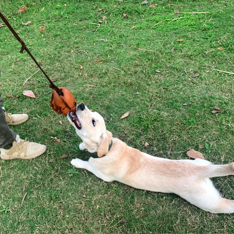 Pelota de cuero para entrenamiento de perros, juguete suave con mango para morder, recompensa para cachorros, suministros para mascotas - imagen 5