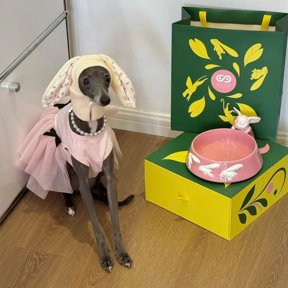 Vestido de encaje rosa para Galgo Italiano y Whippet – Primavera