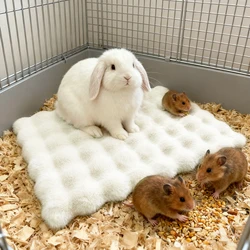 Estera térmica acolchada para conejos y gatos pequeños – Cama cálida winter