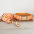 Dog Collar Leash Set