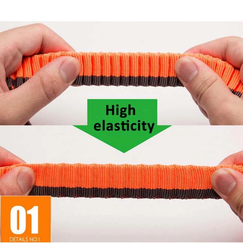 Truelove-correa elástica de nailon ajustable para perro, correa elástica para correr, trotar, caminar - imagen 2