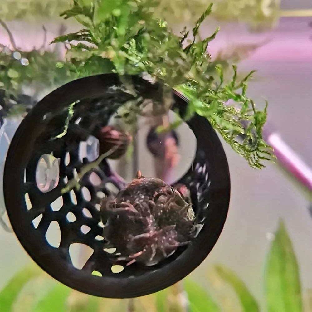 Hamaca flotante con ventosa para pez betta: escondite y descanso - imagen 5