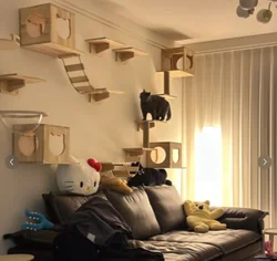 Escalera trepadora de pared para gato con sisal para afilar